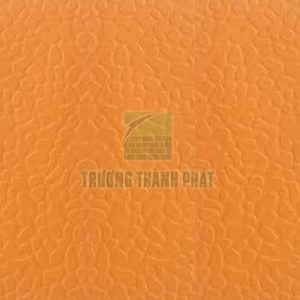 Sàn thể thao TTP-4567