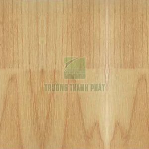 Sàn thể thao TTP-4581
