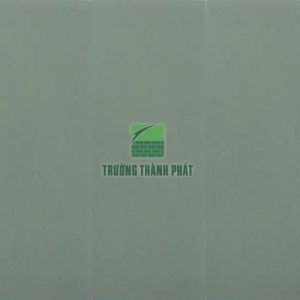 Sàn thể thao TTP-602
